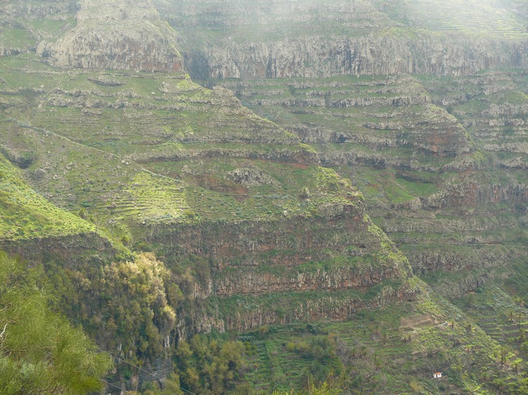 2009-01_lagomera-090.JPG