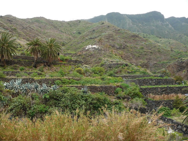 2009-01_lagomera-186.JPG