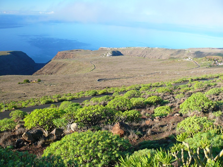 2009-01_lagomera-246.JPG