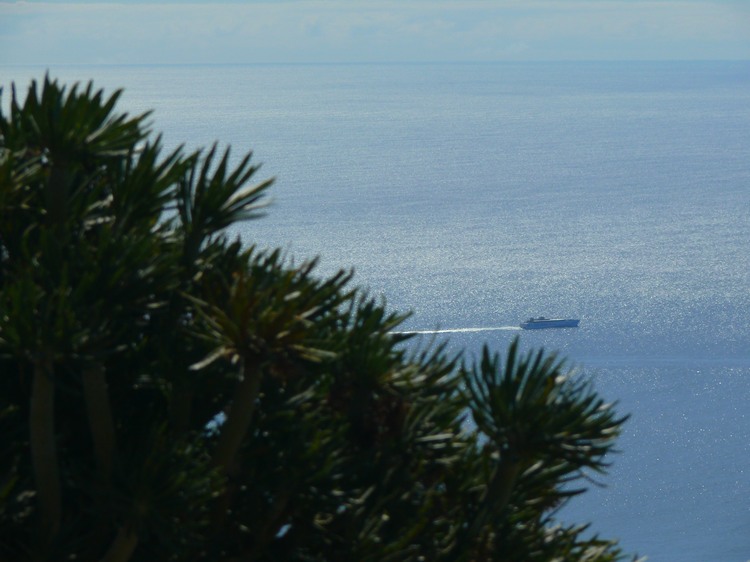 2009-01_lagomera-281.JPG