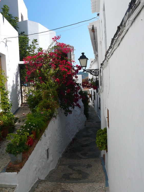 2011_andalusien_270.jpg